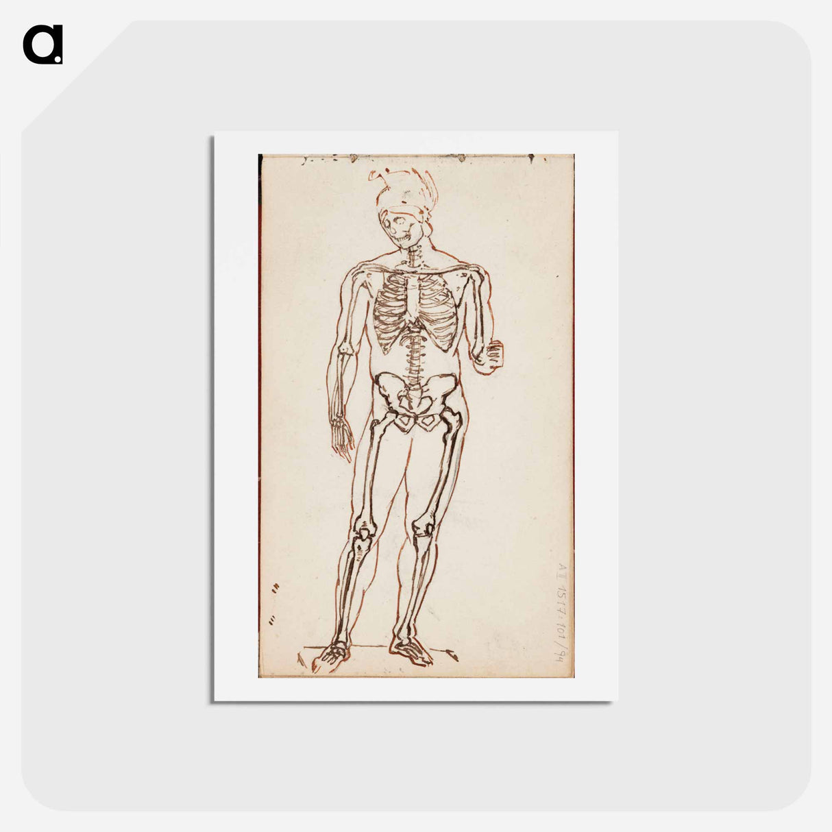 アートポストカード-Ares borghese luurankotutkielmana - アルバート エーデルフェルト Postcard.