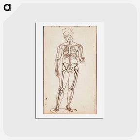 アートポストカード-Ares borghese luurankotutkielmana - アルバート エーデルフェルト Postcard.