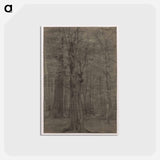 アートポストカード-Cleveland Museum of Art
 - クリーブランド美術館 Postcard.