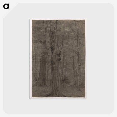 アートポストカード-Cleveland Museum of Art
 - クリーブランド美術館 Postcard.