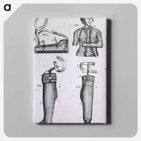 アートパネル-Arm Sling and Artificial Legs
 - 国立医学図書館 Canvas.