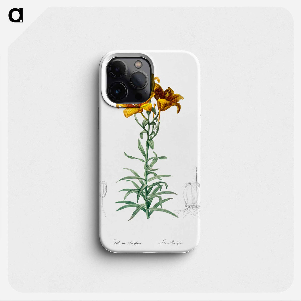 Fire lily illustration - ピエール ジョゼフ ルドゥーテ Phone Case.