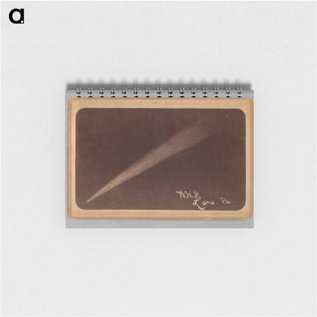 アートメモ帳-Comet
 - セントルイス美術館 Memo.