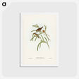 アートポストカード-Plain-coloured Acanthiza
 - ジョン グールド Postcard.