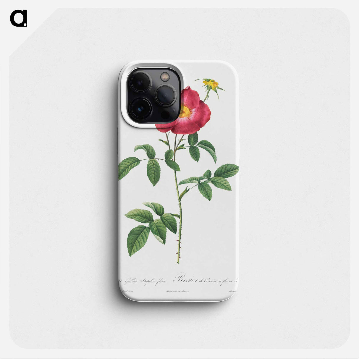 Stapelia French rose variety - Pierre Joseph Redouté Phone Case.