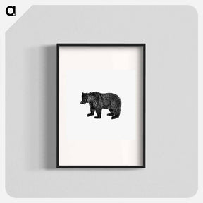 アートポスター-Bear Engraving from The Polar Regions Of The Western Continent Explored
 - 大英図書館 Poster.