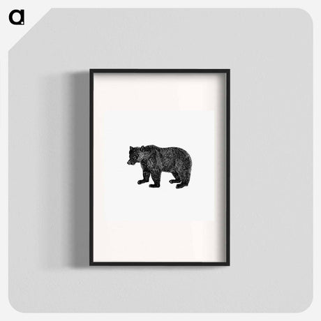 アートポスター-Bear Engraving from The Polar Regions Of The Western Continent Explored
 - 大英図書館 Poster.
