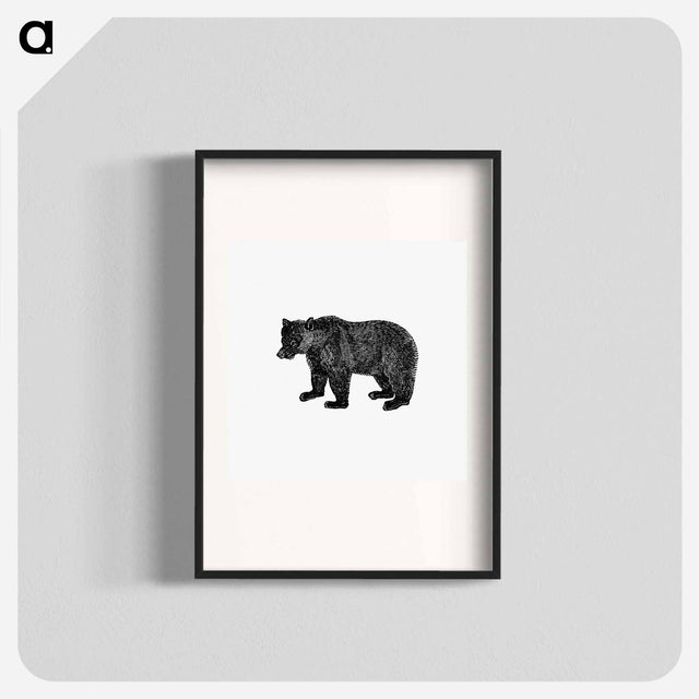 アートポスター-Bear Engraving from The Polar Regions Of The Western Continent Explored
 - 大英図書館 Poster.