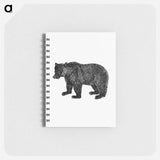 アートメモ帳-Bear Engraving from The Polar Regions Of The Western Continent Explored
 - 大英図書館 Memo.