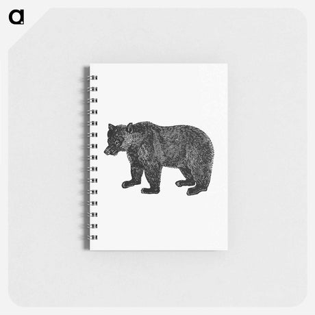 アートメモ帳-Bear Engraving from The Polar Regions Of The Western Continent Explored
 - 大英図書館 Memo.