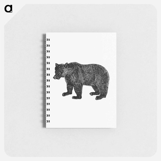 アートメモ帳-Bear Engraving from The Polar Regions Of The Western Continent Explored
 - 大英図書館 Memo.