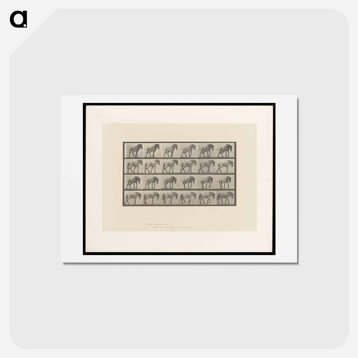 アートポストカード-Horse in Motion
 - エドワード マイブリッジ Postcard.