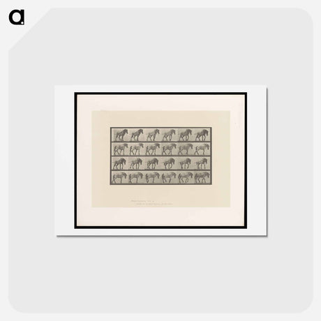 アートポストカード-Horse in Motion
 - エドワード マイブリッジ Postcard.