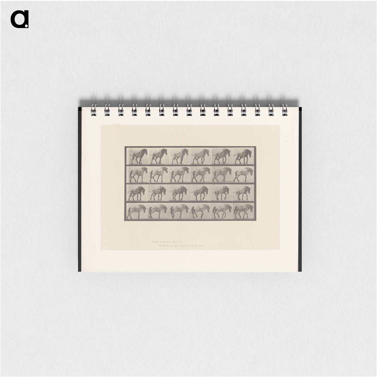 アートメモ帳-Horse in Motion
 - エドワード マイブリッジ Memo.