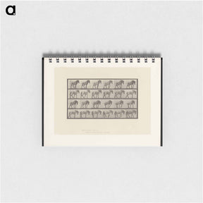 アートメモ帳-Horse in Motion
 - エドワード マイブリッジ Memo.