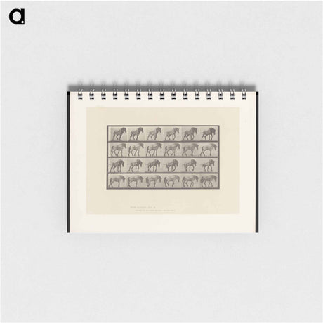 アートメモ帳-Horse in Motion
 - エドワード マイブリッジ Memo.