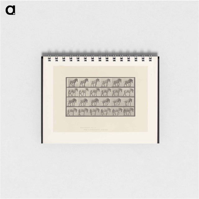 アートメモ帳-Horse in Motion
 - エドワード マイブリッジ Memo.