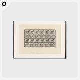 アートポストカード-Horse in Motion
 - エドワード マイブリッジ Postcard.