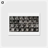 アートポストカード-Cocks Fighting
 - エドワード マイブリッジ Postcard.