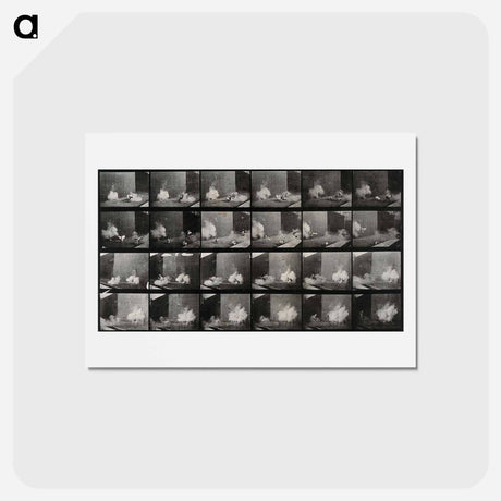 アートポストカード-Cocks Fighting
 - エドワード マイブリッジ Postcard.
