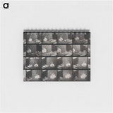 アートメモ帳-Cocks Fighting
 - エドワード マイブリッジ Memo.