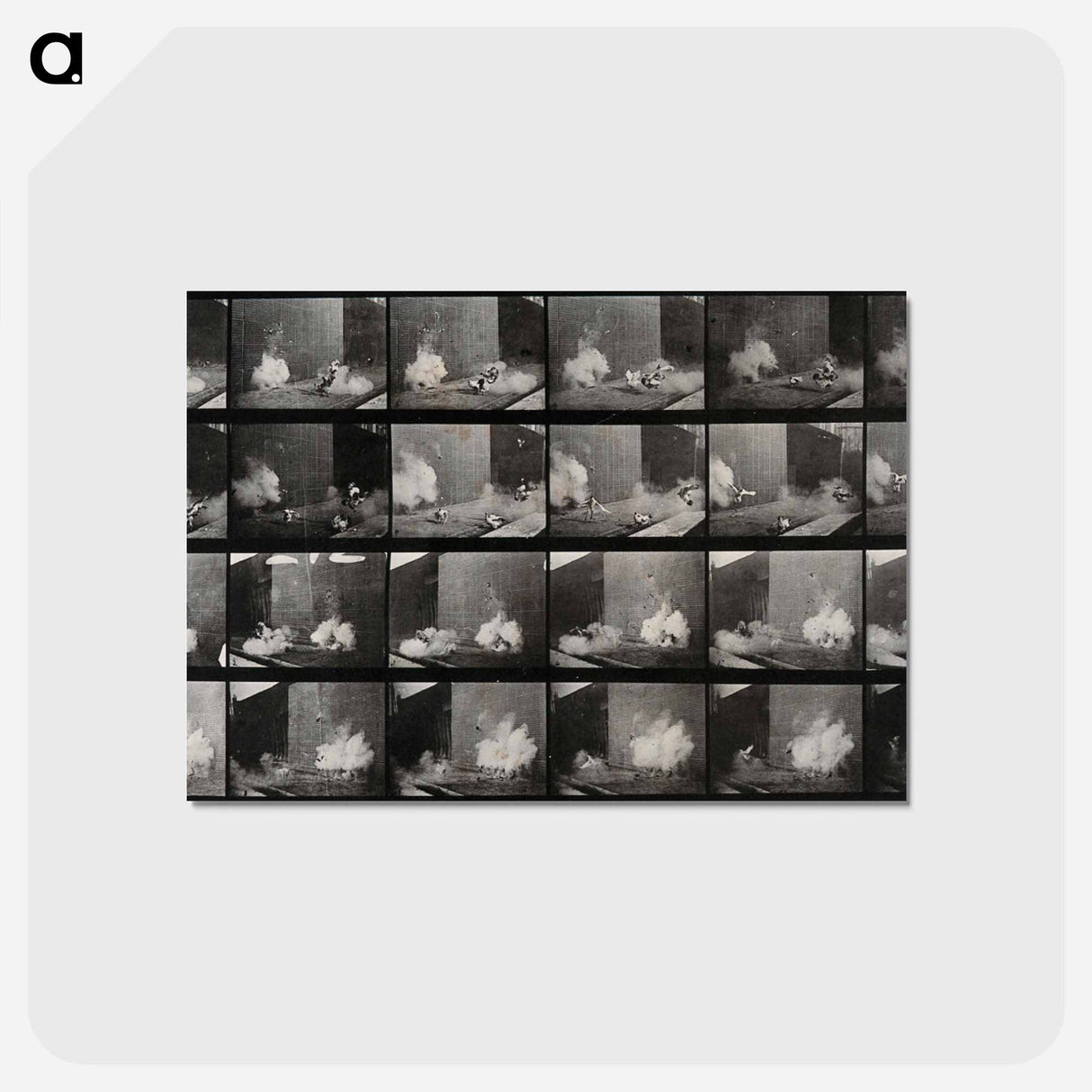 アートポストカード-Cocks Fighting
 - エドワード マイブリッジ Postcard.