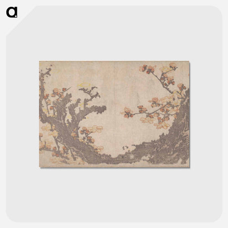 アートポストカード-Hokusai's Ancient Plum Tree in Bloom - 葛飾 北斎 Postcard.