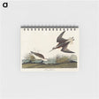 アートメモ帳-Wilson's Phalarope from Birds of America
 - アメリカの鳥たち Memo.