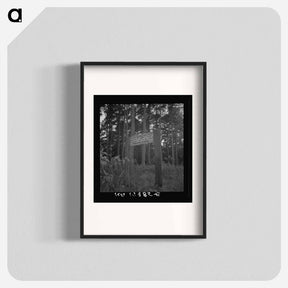 アートポスター-Untitled photo - ドロテア ラング Poster.