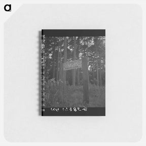 アートメモ帳-Untitled photo - ドロテア ラング Memo.