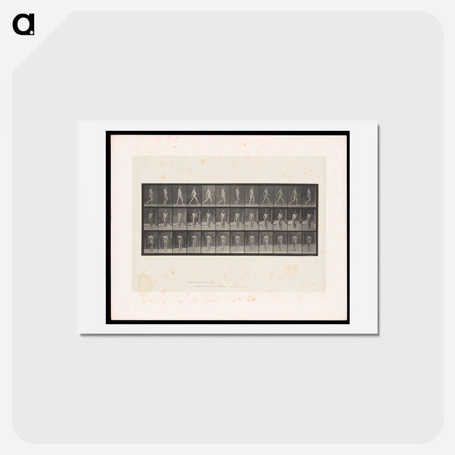 アートポストカード-Naked Man Walking
 - エドワード マイブリッジ Postcard.