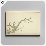 Hokusai's Blooming Plum Tree - 葛飾 北斎 Canvas.