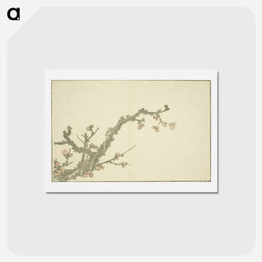 アートポストカード-Hokusai's Blooming Plum Tree - 葛飾 北斎 Postcard.
