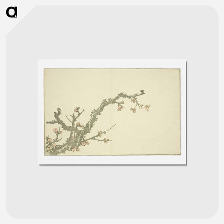 アートポストカード-Hokusai's Blooming Plum Tree - 葛飾 北斎 Postcard.