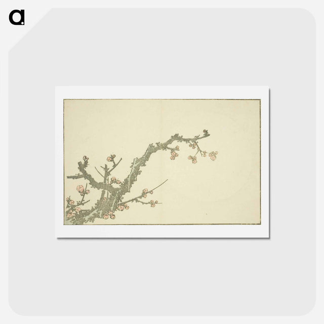 アートポストカード-Hokusai's Blooming Plum Tree - 葛飾 北斎 Postcard.