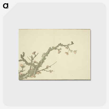 アートポストカード-Hokusai's Blooming Plum Tree - 葛飾 北斎 Postcard.