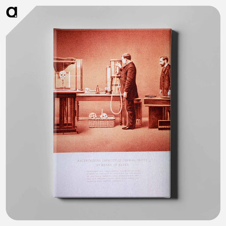 アートパネル-Ascertaining Capacity of Cranial Cavity by Means of Water: Photograph No. 5
 - 国立医学図書館 Canvas.