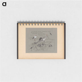 アートメモ帳-Tekstblad met vogels, onder andere roerdomp, gans, ooievaar en kraai - テオ ヴァン ホイテマ Memo.