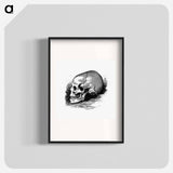 アートポスター-Victorian Skull Engraving
 - 大英図書館 Poster.