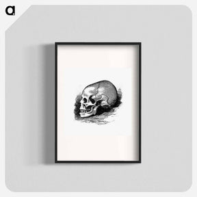 アートポスター-Victorian Skull Engraving
 - 大英図書館 Poster.