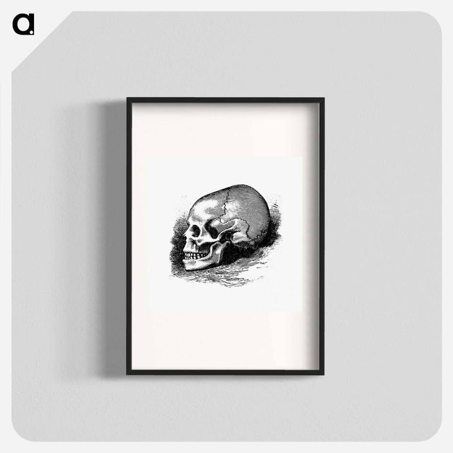 アートポスター-Victorian Skull Engraving
 - 大英図書館 Poster.