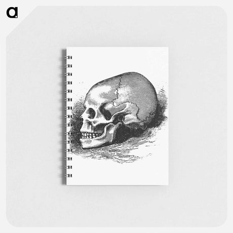アートメモ帳-Victorian Skull Engraving
 - 大英図書館 Memo.