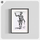 アートポスター-Musculature of the Human Body
 - 国立医学図書館 Poster.