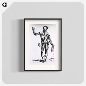 アートポスター-Musculature of the Human Body
 - 国立医学図書館 Poster.