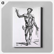 アートパネル-Musculature of the Human Body
 - 国立医学図書館 Canvas.