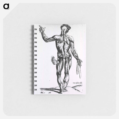 アートメモ帳-Musculature of the Human Body
 - 国立医学図書館 Memo.