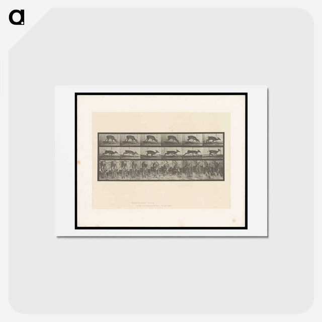 アートポストカード-Running Deer
 - エドワード マイブリッジ Postcard.