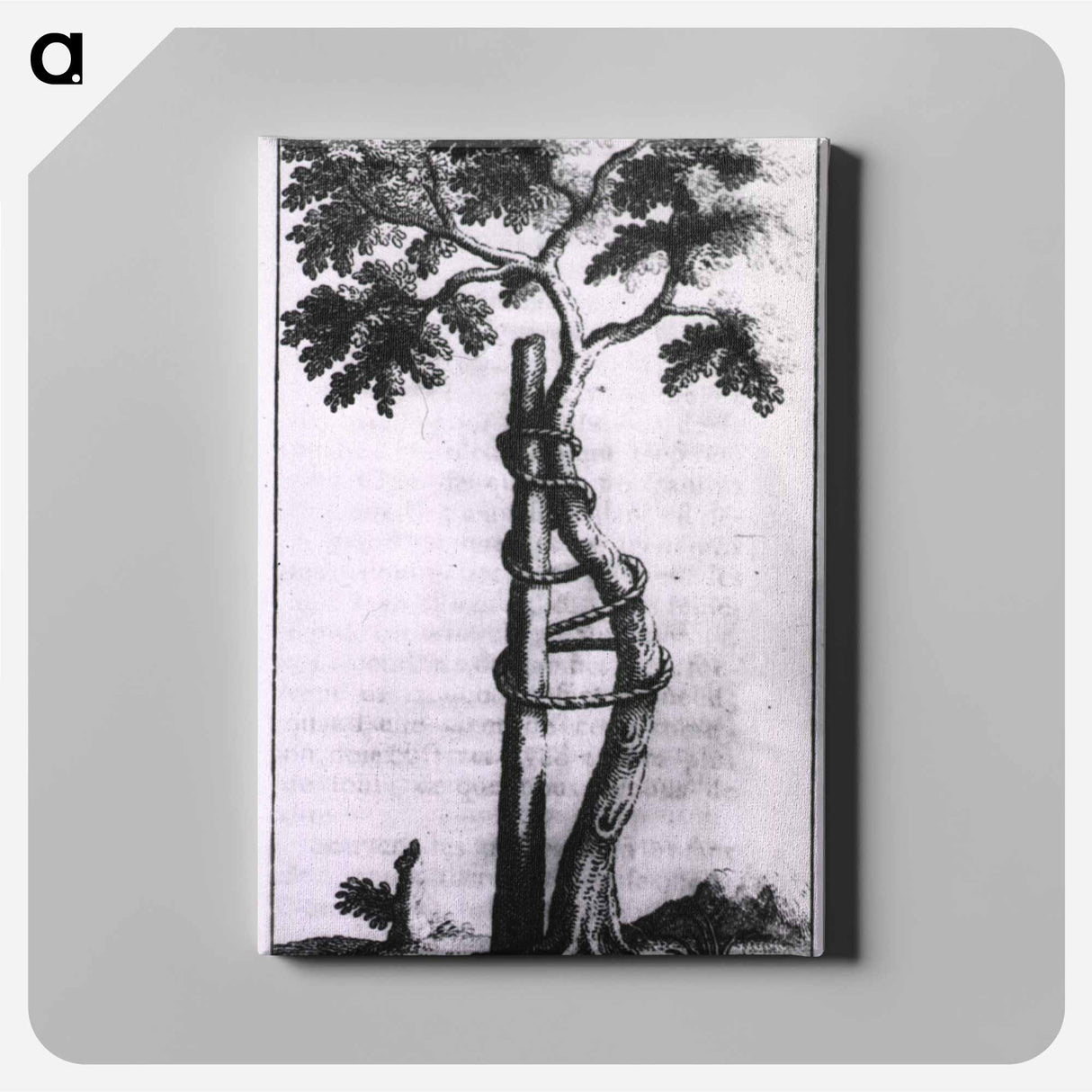 アートパネル-Allegory of Orthopedic Correction
 - 国立医学図書館 Canvas.