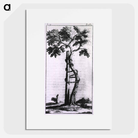 アートポスター-Allegory of Orthopedic Correction
 - 国立医学図書館 Poster.