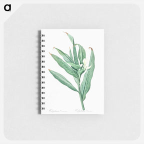 アートメモ帳-White garland-lily illustration - ピエール ジョゼフ ルドゥーテ Memo.